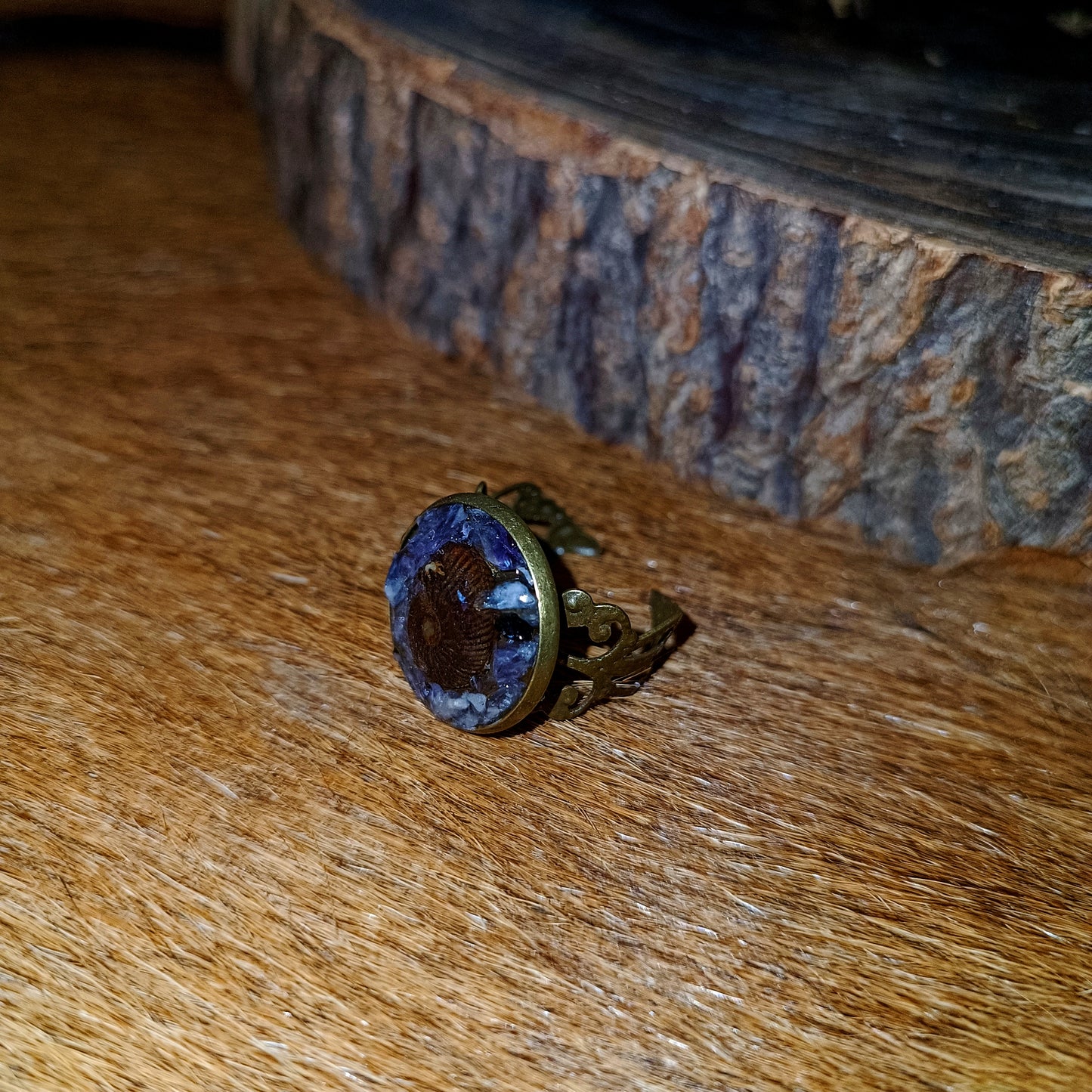 Bague ammonite