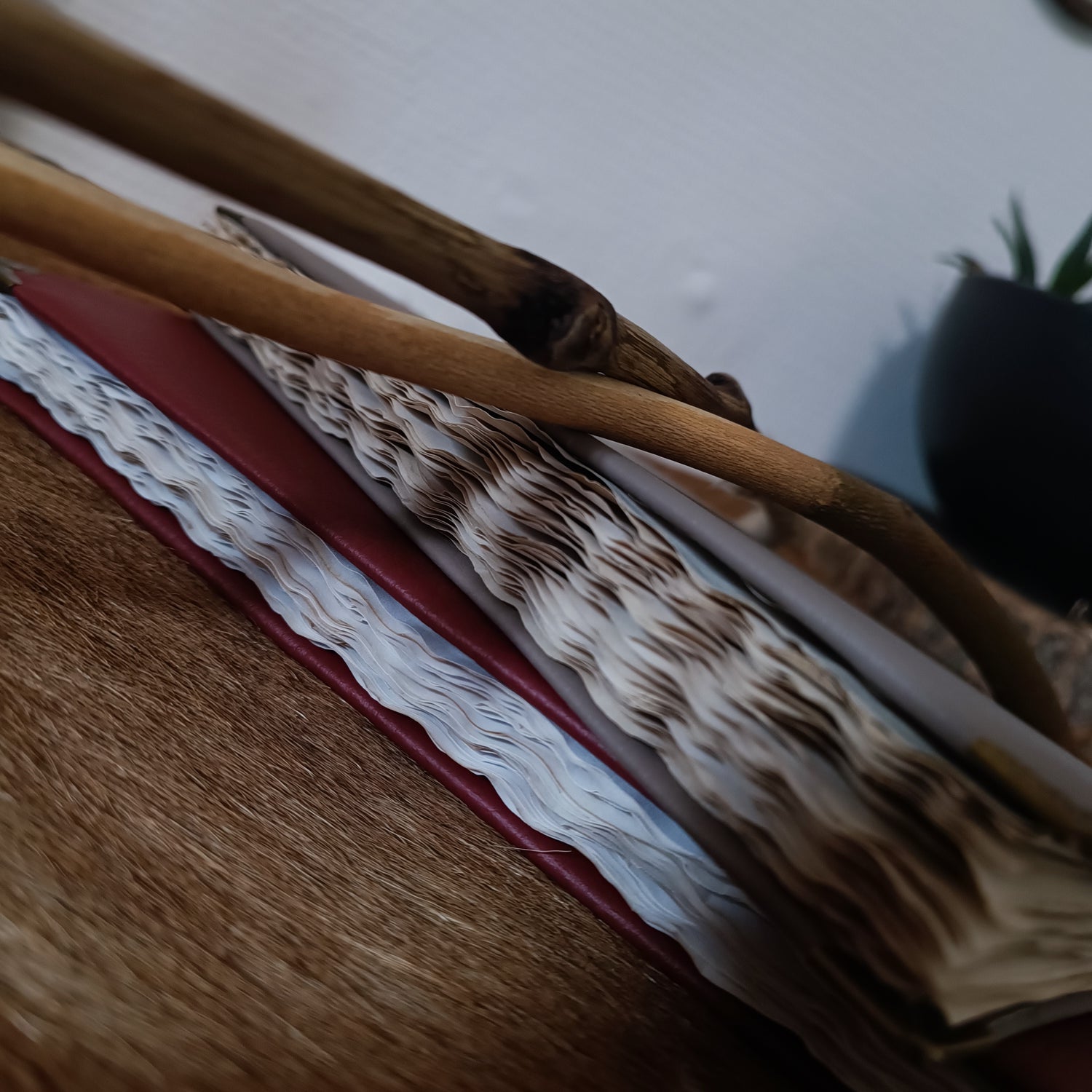 Baguettes et grimoires