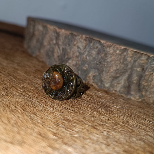 Bague ammonite