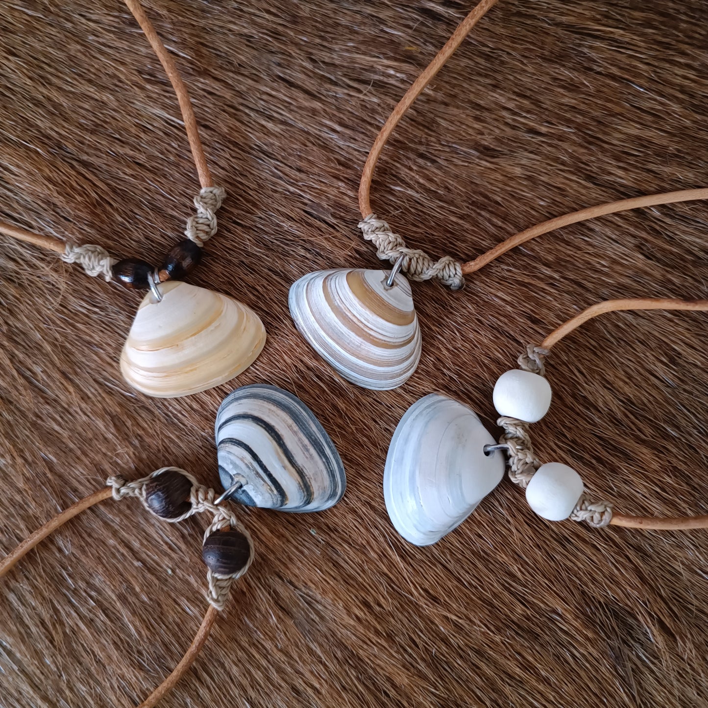 Collier coquillage