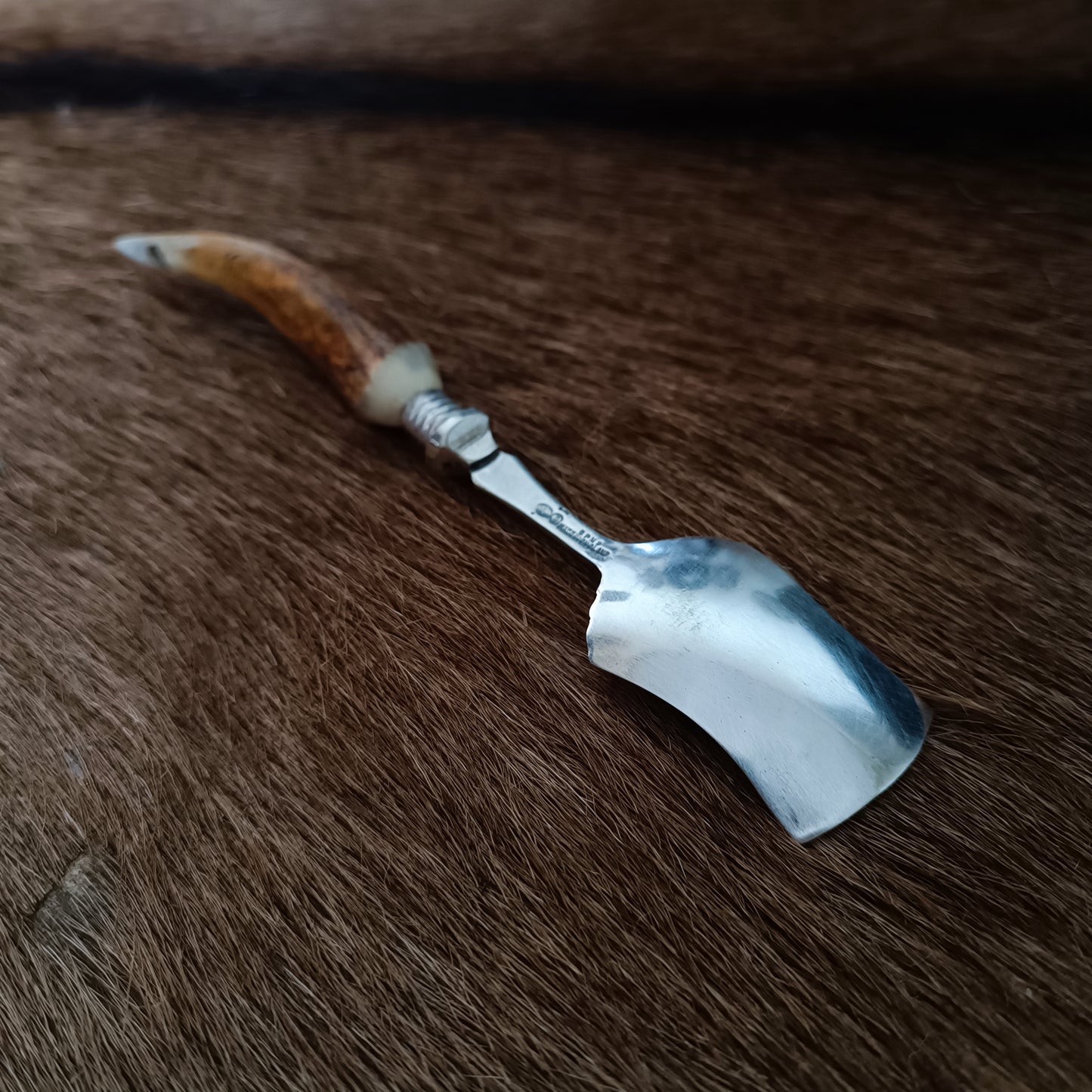 Cuillère en corne
